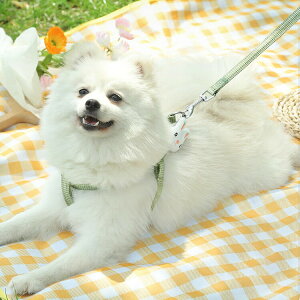 ELpR    L  n[lX [h Zbg ybg  p xXg ʋCQ  y pSn悭 [v Ђ ybgpi ^ L U 