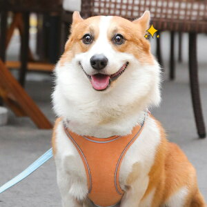 ELpR    L  n[lX [h Zbg ybg  p xXg ʋCQ  y pSn悭 [v Ђ ybgpi ^ L U 