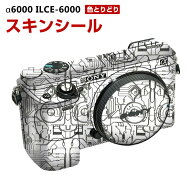 SONY ソニー a6000 ILCE-6000 アクセント スキンシール PVC素材を使用 カメラのボディ保護 カメラアクセ…