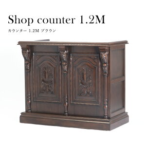 AeB[N JE^[ RRƋ WJE^[ W LbV[ o[JE^[ ot AeB[N X܏Y 1.2M uE [bp  5054-1.2MC-5