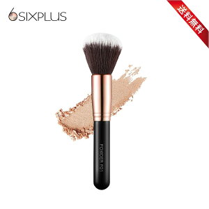 SIXPLUS �M���̃S�[���h�p�E�_�[�u���V F01 �u���b�N �s���N�����������E�����y�Ή���