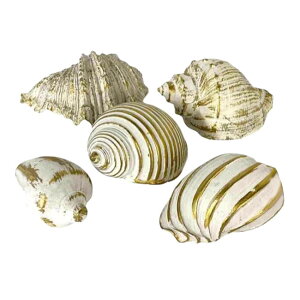 Lk IuWF 5Zbg _ zCg S[h L } GKg i 8961589  u