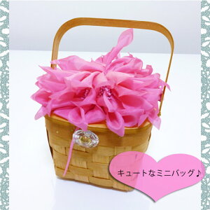 j[[N L[gȂԂ̃~jJSobO@C|[g@ԁ@t[@obO oXPbg@basket bag