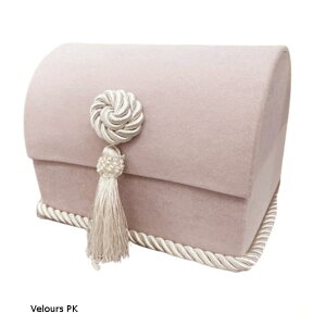 AJ̃[sAIS[WXGKgJennifer taylor WFjt@[eC[ gN{bNX  ^bZ vZX Pn RR  IV  킢 G