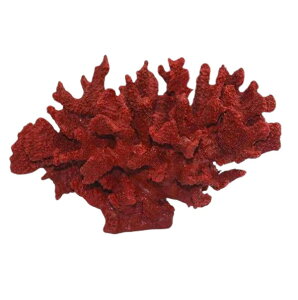 R[  u IuWF } S[WX GKg CeA  C bh X TS