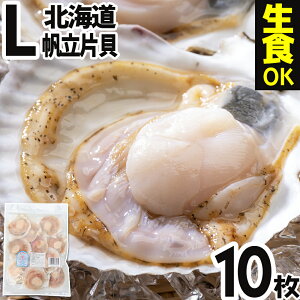 H kCY z^eЊL 10 hg ق z^e  k kt ЊL CN Ⓚ Y kC  BBQ o[xL[ CN H i CN tC Hp lC e 