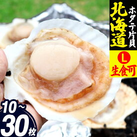 北海道産 ホタテ片貝 L 10枚/20枚/30枚 生食用 刺身 ほたて ホタテ 帆立 殻 殻付き 片貝 海鮮 冷凍 国産 北海道 大粒 大玉 特大 肉厚 BBQ バーベキュー 食材 寿司 海鮮丼 人気 大容量 送料無料