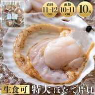 ＼L 20枚→5,999円！特価／北海道産 ホタテ片貝 Lサイズ 10枚/20枚/30枚 生食用 刺身 ほたて ホタテ 帆立…