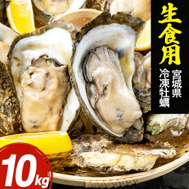 牡蠣 生食用 冷凍 10kg 宮城県 殻付き【L/M/SM/S】生食用牡蠣 かき 牡蛎 カキ 三陸 海鮮 バーベキュー BBQ 貝 大容量 大人数 送料無料 特大 小粒