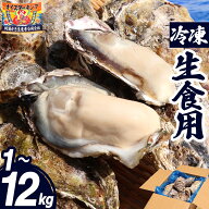 牡蠣 生食用 1〜12kg 冷凍 生牡蠣 宮城県 殻付き かき 冷凍かき 牡蠣冷凍 牡蛎 カキ 三陸 海鮮 生 冷凍牡…