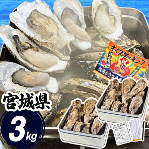 y JJĂ 1.5kg×2 {錧 (REiCtt) Ⓚ kt y ʏĂ  a JL O CN Zbg o[xL[ BBQ L e l