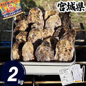 牡蠣 カンカン焼き 2kg缶 (軍手・ナイフ付) 宮城県 冷凍 殻付き 牡蠣缶 缶焼き かき 牡蛎 カキ 三陸 海鮮 セット バーベキュー BBQ 貝 大容量 大人数 送料無料(沖縄県除く)