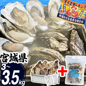 牡蠣 カンカン焼きおかわりセット 3kg/3.5kg (1缶+1.5kg) 大粒 中粒 宮城県 殻付き 冷凍 かき 牡蛎 カキ カン焼き おかわり 缶焼き 三陸 海鮮 生 バーベキュー BBQ 貝 大容量 大人数 3kg 3.5kg 産地直送 産直