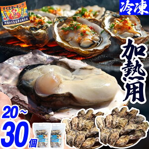 y Ⓚ 20`30 ETCY 3kg Mp {錧 kt  a JL JJĂ  ʏĂ O CN  o[xL[ CNo[xL BBQ L e l 嗱  Yn 