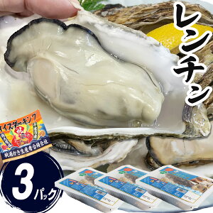 y ` 500g×3 嗱  Mp {錧 kt y  a JL O CN W Z  ̍ o[xL[ CNo[xL BBQ LyⓀ/`hz