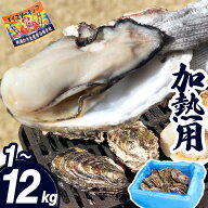 牡蠣 加熱用 1〜12kg 宮城県 殻付き 生牡蠣 かき 牡蛎 カキ 三陸 海鮮 生 バーベキュー BBQ 貝 大容量 大…