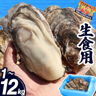 牡蠣 生食用 1〜12kg 宮城県 殻付き 生牡蠣 かき 牡蛎 カキ 三陸 海鮮 生 刺し身 刺身 バーベキュー BBQ …
