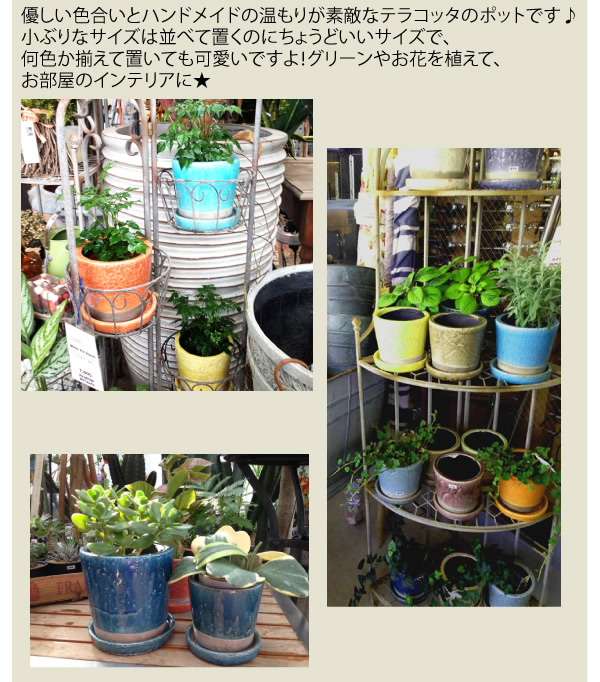 楽天市場】Color glazed pot CH15-G527 植木鉢 2号鉢 プランター 陶器 