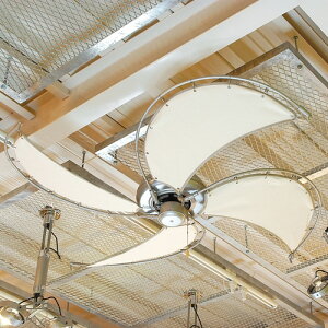  ^̕zHgV[Ot@ _g canvas-blades-fan FAN t@ T[L[^[ @ GR X܏Y Xܓ tH[ ߓd DT18-CF08OW PX
