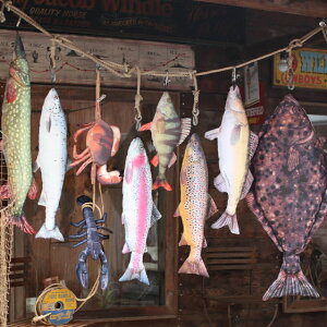 CUSHION tBbVNbV W C pCN JC T[ U_[ uX^[ Nu ނ菗q ނ@_g DULTON