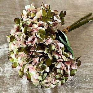 Calm interior z A[gt[ 4J[ u[P ԑ  AWTC  t[AWg Vr[VbN AG CeA