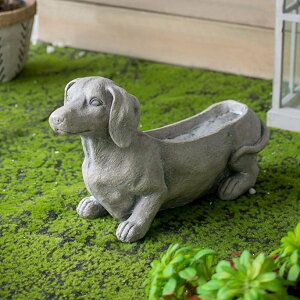 v^[ _bNXth hbO   Jo[ ԑ u ^ AeB[NG pG  킢 K[fjOI[ig