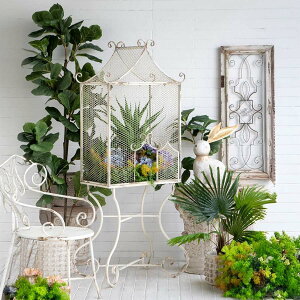 y5OFFN[|b6 `110159܂ł̊ԌzVr[VbN ACA O[nEX 170cm S AeB[N I  I bN  X܏Y Cxg  [