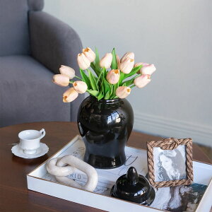 ubNZ~bN W[ Wt STCY ԕr    Ԋ Ă  t[x[X t[AWg VmY[_