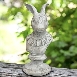 IuWF rbg 23.5cm ETM  eA u ΂ k   J^ [sA AeB[NG pG