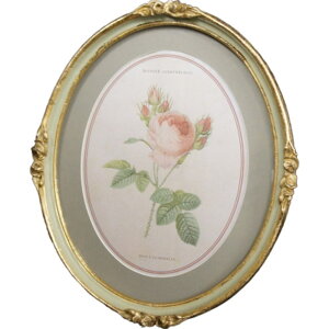 NVbN Ǌ| B NVbN  Pn 킢  vZX RR AeB[N BNgA