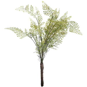 _EA[gO[EV_  킢 NVbN 