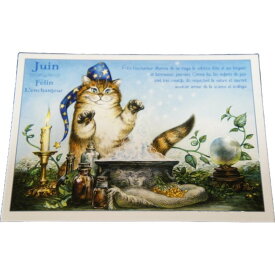 フランス製 キャット ポストカード 猫 ネコ はがき 絵葉書 絵はがき 絵ハガキ おしゃれ かわいい 母の日 ギフト プレゼント ラッピング無料