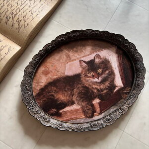 Ǌ| lR BOOK CeA EH[fR ǖʑ Ǐ Vr[VbN  킢 RR AeB[N BNgA