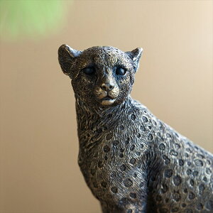 IuWF pT[ qE A u k  Aj} Vr[VbN G    J^