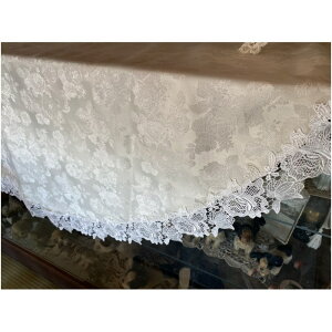 y5{|Cg 420`90159܂ł̊Ԍzpolish old rose e[uNX Eh ی^ 150cm  킢 Mtg v[g