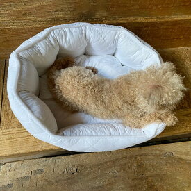 ペットベッド 55×45cm white quilt ネコ 犬 春 夏 秋 冬 オールシーズン ホワイト 白 キルト コットン 綿 おしゃれ 可愛い