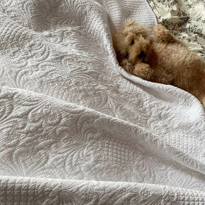 zCgLg }`Jo[ 200x200 k 􂦂 xbhJo[