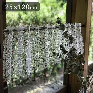 4TCYWJ all lace JtFJ[e 25x120cm zCg Ms[[X t[ ԕ k NVbN Mtg v[g