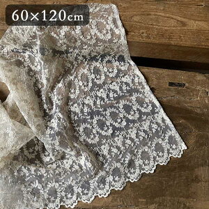 2TCYWJ Belles vagues x@[OV[Y JtFJ[e60x120cm ԕ [X͗l AeB[N [sA 