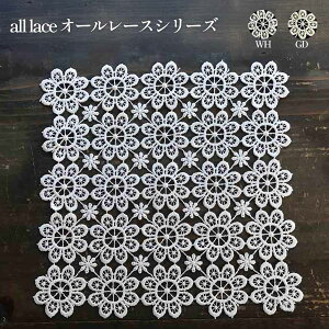 all lace hC[ 25x25cm ԕr~ ~ 2J[  