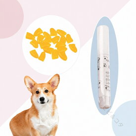 ネイルキャップ ネイルカバー 犬用 ペット 愛犬 犬 爪の保護 滑り止め 家具 床 ソファー カーテン 引っかき防止 カラフル 無地 シンプル 可愛い