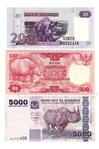 Topic-Rhinoceros �ɂ�� 3 �̐��E�����̃��b�g�B / �^���U�j�A�A���U���r�[�N�A