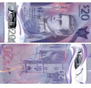 �o���o�h�X 20 �h�� 2022 P-83 NEW �|���}�[���� UNC