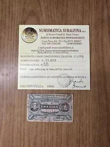 ���� �J�b�T �T���W�����W�� �W�F�m�o 1 ���� �F�� QBB AA