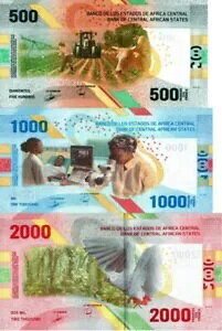 2023 �N�����A�t���J���� 500-1000-2000 �t���������񗬒�