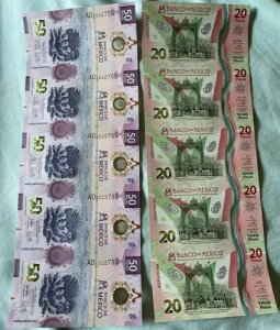 2021 ���L�V�R 50,20 �y�\ BILLETE DE BANCO �m�[�J�b�g 5,5 LOTE 2 PCS MS LOT 2