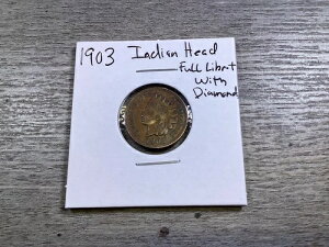 1903�N�C���f�B�A���w�b�h�y�j�[�i�t�����o�e�B���p�[�V�����_�C�������h�j032523 31