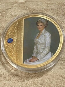 2013�N�_�C�A�i�܋L�O 24K�S�[���h ���C���[�h�X�����t�X�L�[�R�C�� JDPD13