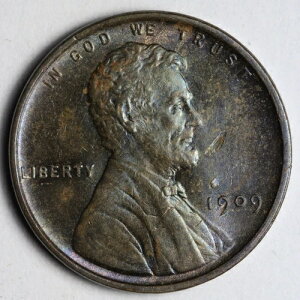 1909 �����J�[�� �E�B�[�g �Z���g �y�j�[ BU *������*MS E172 TCG