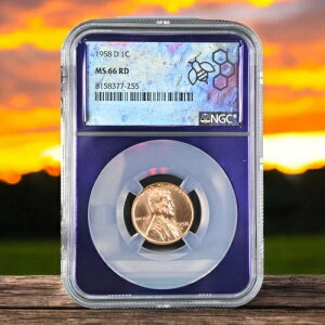 1958-D �����J�[�� �Z���g �E�B�[�g NGC MS66RD �g���[�_�[�r�[ �J�X�^�� �p�[�v�� �R�A ���A!